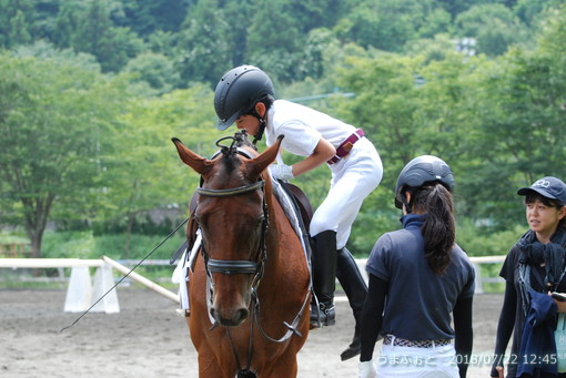 神奈川ホースショー