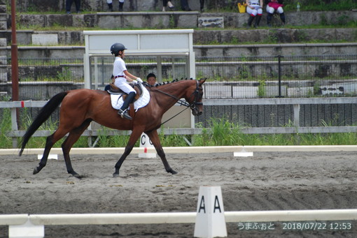 神奈川ホースショー