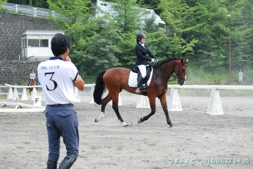 神奈川ホースショー