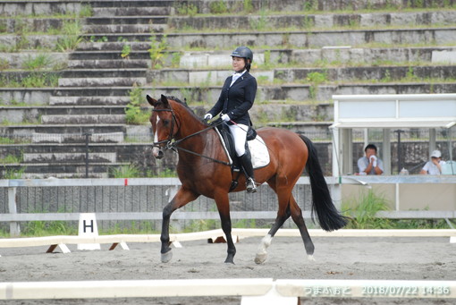 神奈川ホースショー