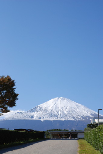 東京馬術大会