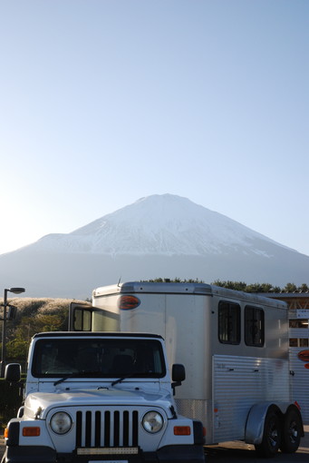 東京馬術大会