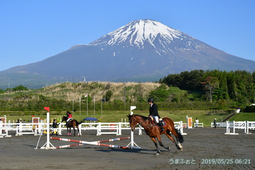 ＯＩＳＯ競技