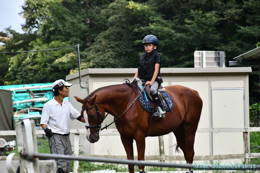 oiso