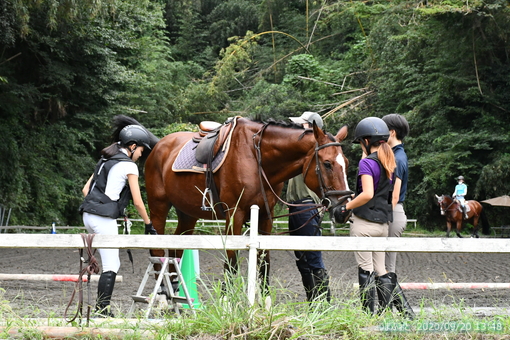 oiso