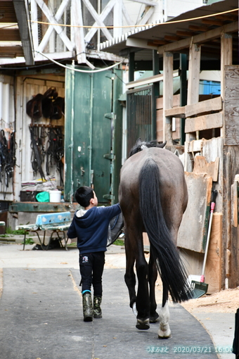 oiso