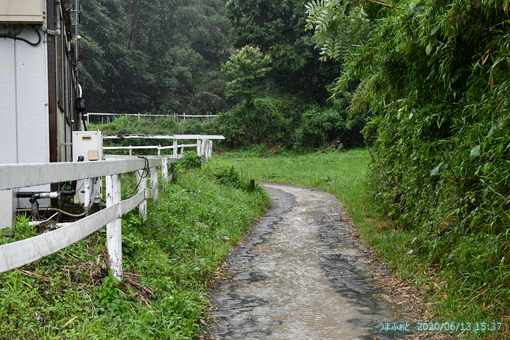 oiso