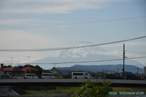 oiso