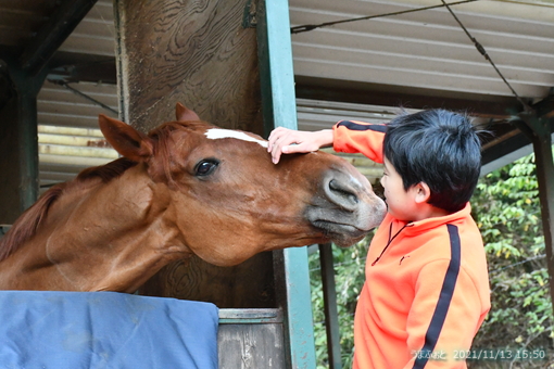 oiso