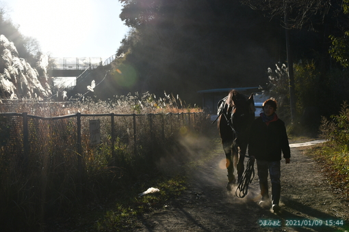 oiso