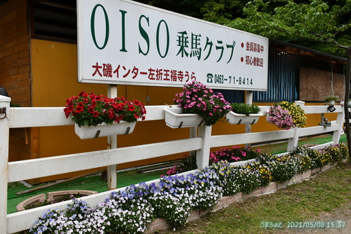 oiso