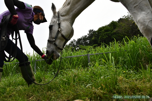 oiso