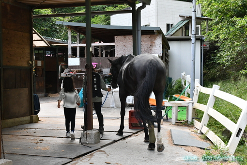 oiso