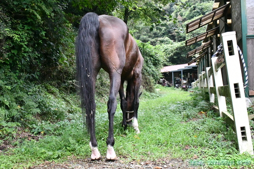 oiso