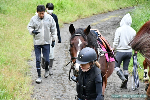 oiso