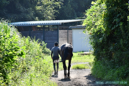 oiso