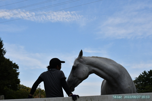 oiso