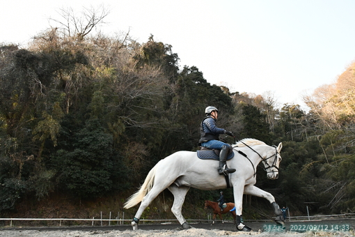 oiso