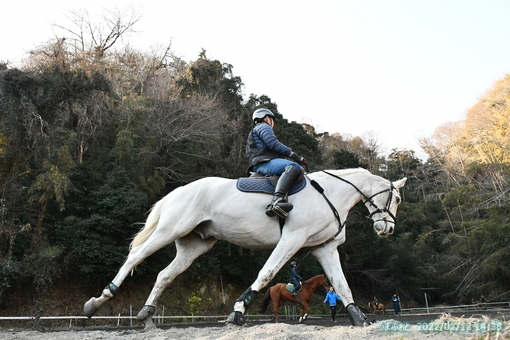 oiso