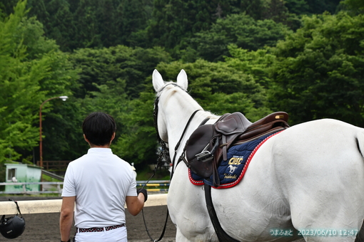 oiso