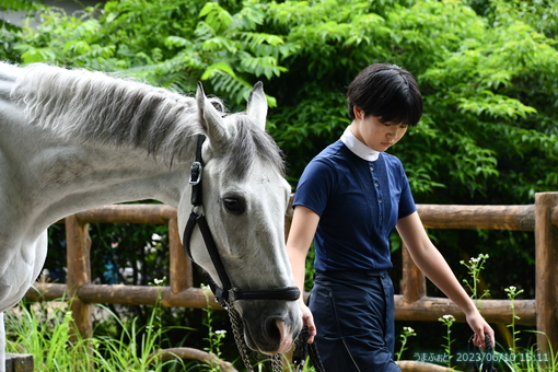 oiso