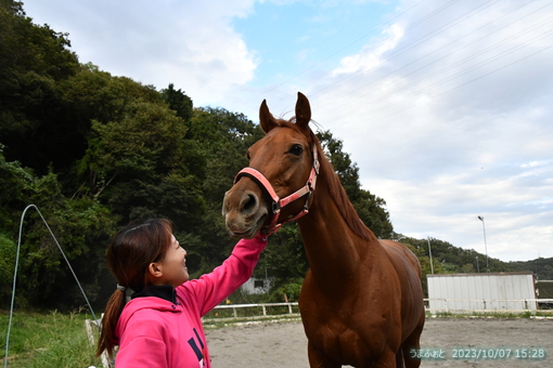 oiso