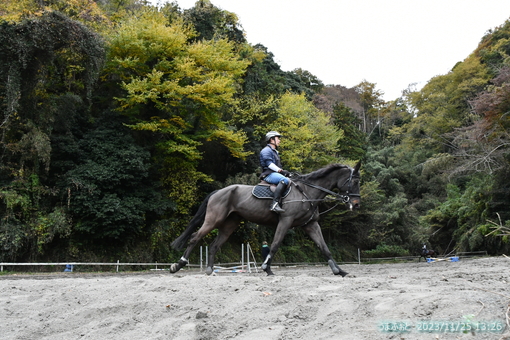 oiso