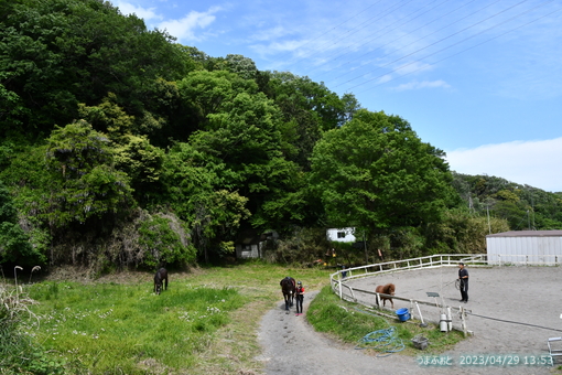 oiso