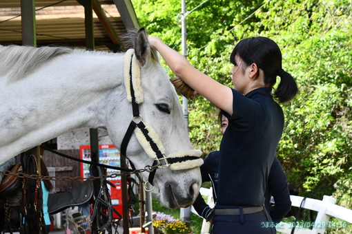 oiso