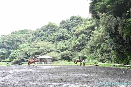 oiso