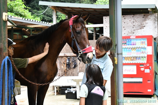 oiso