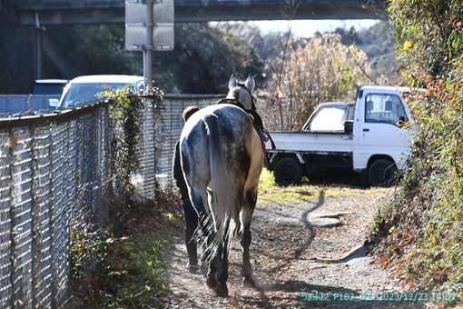 oiso