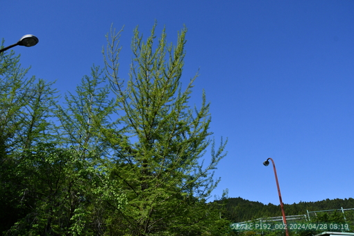 TSUKUI