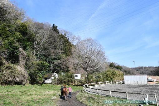 oiso