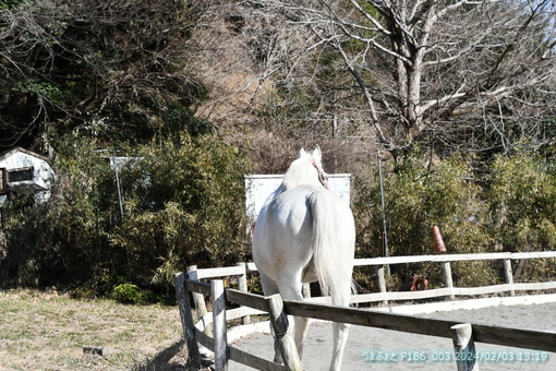 oiso