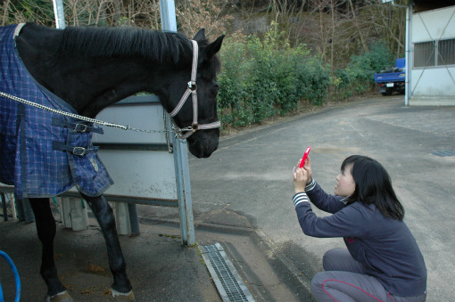 oiso