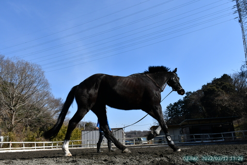 oiso