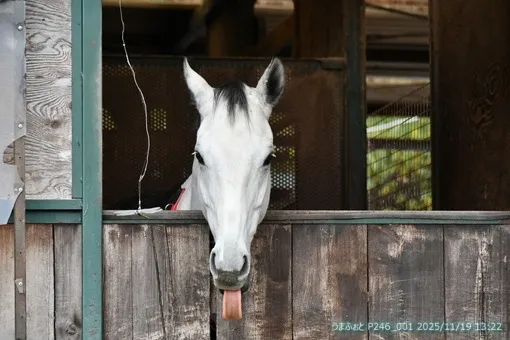 2025年11月19日(水) 寒い一日でした