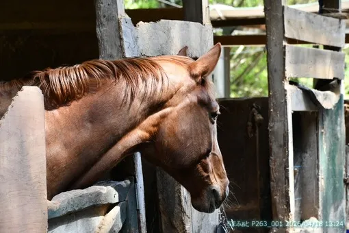 2026年4月18日(土) 過ごしやすい何でも日和