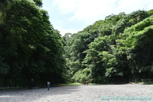 2026年6月6日(土) 風が気持ち良い