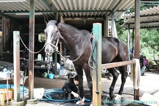 2026年8月15日(土) ちょっと涼しめ